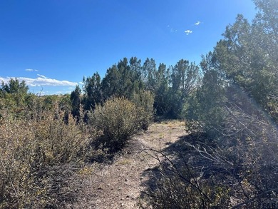 Discover your slice of Colorado paradise on this 1+ acre lot in on Hollydot Golf Course in Colorado - for sale on GolfHomes.com, golf home, golf lot