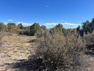 Discover your slice of Colorado paradise on this 1+ acre lot in on Hollydot Golf Course in Colorado - for sale on GolfHomes.com, golf home, golf lot