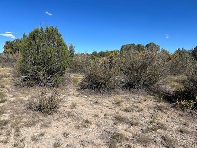 Discover your slice of Colorado paradise on this 1+ acre lot in on Hollydot Golf Course in Colorado - for sale on GolfHomes.com, golf home, golf lot