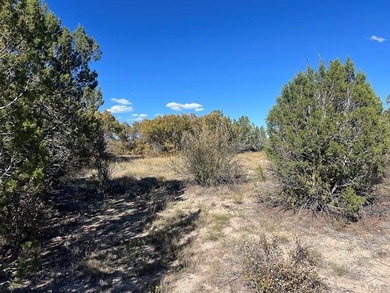 Discover your slice of Colorado paradise on this 1+ acre lot in on Hollydot Golf Course in Colorado - for sale on GolfHomes.com, golf home, golf lot