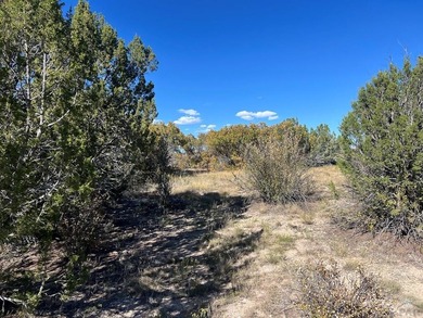 Discover your slice of Colorado paradise on this 1+ acre lot in on Hollydot Golf Course in Colorado - for sale on GolfHomes.com, golf home, golf lot
