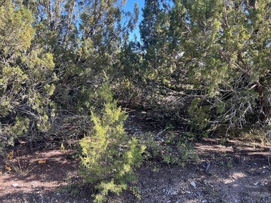 Discover your slice of Colorado paradise on this 1+ acre lot in on Hollydot Golf Course in Colorado - for sale on GolfHomes.com, golf home, golf lot