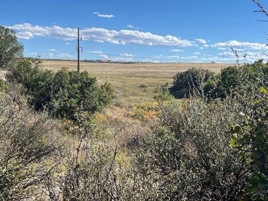 Discover your slice of Colorado paradise on this 1+ acre lot in on Hollydot Golf Course in Colorado - for sale on GolfHomes.com, golf home, golf lot