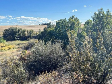 Discover your slice of Colorado paradise on this 1+ acre lot in on Hollydot Golf Course in Colorado - for sale on GolfHomes.com, golf home, golf lot