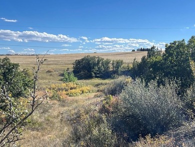 Discover your slice of Colorado paradise on this 1+ acre lot in on Hollydot Golf Course in Colorado - for sale on GolfHomes.com, golf home, golf lot