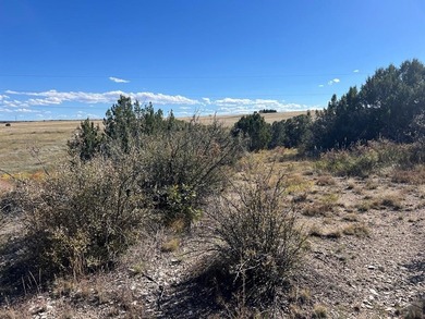 Discover your slice of Colorado paradise on this 1+ acre lot in on Hollydot Golf Course in Colorado - for sale on GolfHomes.com, golf home, golf lot
