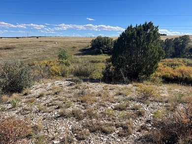 Discover your slice of Colorado paradise on this 1+ acre lot in on Hollydot Golf Course in Colorado - for sale on GolfHomes.com, golf home, golf lot