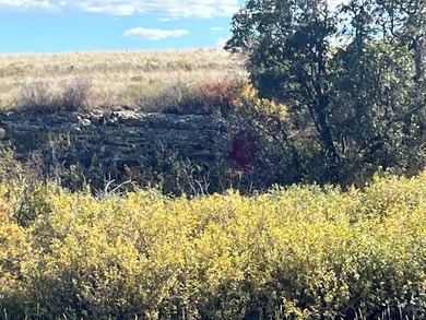 Discover your slice of Colorado paradise on this 1+ acre lot in on Hollydot Golf Course in Colorado - for sale on GolfHomes.com, golf home, golf lot