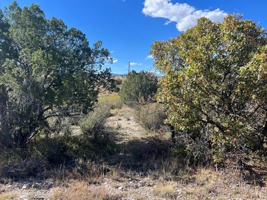 Discover your slice of Colorado paradise on this 1+ acre lot in on Hollydot Golf Course in Colorado - for sale on GolfHomes.com, golf home, golf lot