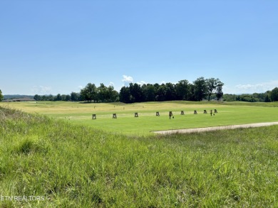 Whether you're looking for a beautiful view of the mountains or on Tellico Village -The Links At Kahite Golf Course in Tennessee - for sale on GolfHomes.com, golf home, golf lot