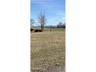 Whether you're looking for a beautiful view of the mountains or on Tellico Village -The Links At Kahite Golf Course in Tennessee - for sale on GolfHomes.com, golf home, golf lot