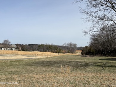 Whether you're looking for a beautiful view of the mountains or on Tellico Village -The Links At Kahite Golf Course in Tennessee - for sale on GolfHomes.com, golf home, golf lot