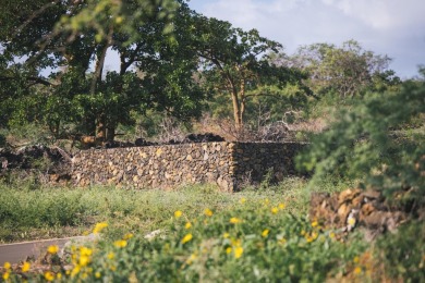 Makena Ranch spans nearly 160 acres in one of Maui's most on Wailea Golf Club in Hawaii - for sale on GolfHomes.com, golf home, golf lot
