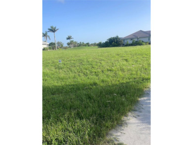 Here's your chance to BUILD your dream home on this oversized on Twin Isles Country Club in Florida - for sale on GolfHomes.com, golf home, golf lot