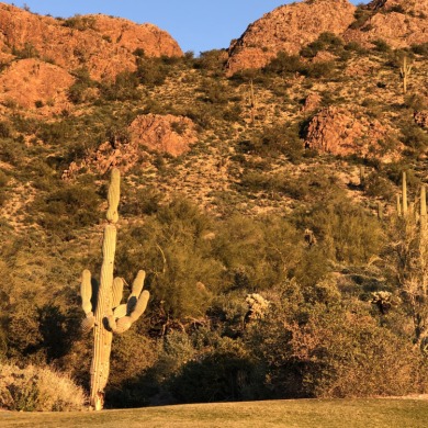 Incredible hillside offer on the slope of the famous Dinosaur on Gold Canyon Golf Resort - Sidewinder in Arizona - for sale on GolfHomes.com, golf home, golf lot