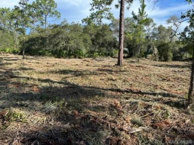 Beautiful 1.96  Acres of land, plenty of space to build your on Seven Rivers Golf and Country Club in Florida - for sale on GolfHomes.com, golf home, golf lot
