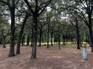 3 lots ALREADY re-platted for you to begin building.  Special on Pinnacle Golf and Boat Club in Texas - for sale on GolfHomes.com, golf home, golf lot