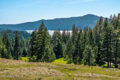 This lot located at Gozzer Ranch Golf and Lake Club. Spacious on Gozzer Ranch Golf and Lake Club in Idaho - for sale on GolfHomes.com, golf home, golf lot