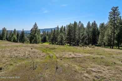 This lot located at Gozzer Ranch Golf and Lake Club. Spacious on Gozzer Ranch Golf and Lake Club in Idaho - for sale on GolfHomes.com, golf home, golf lot