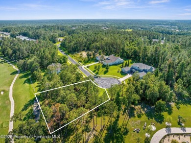 Perched high, on a serene cul-de-sac in the most prestigious on Southern Hills Plantation Club in Florida - for sale on GolfHomes.com, golf home, golf lot
