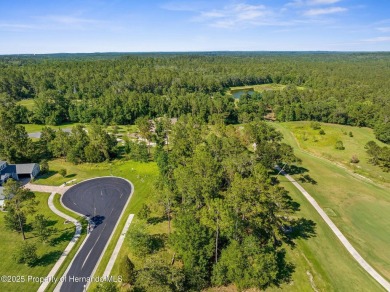 Perched high, on a serene cul-de-sac in the most prestigious on Southern Hills Plantation Club in Florida - for sale on GolfHomes.com, golf home, golf lot