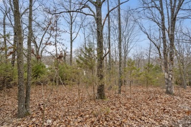 It's a new year, lake close @ Wilderness Trl. Ready for a new on Kimberling City Golf Club in Missouri - for sale on GolfHomes.com, golf home, golf lot