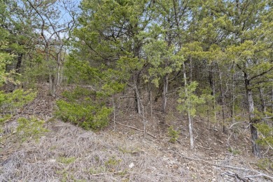It's a new year, lake close @ Wilderness Trl. Ready for a new on Kimberling City Golf Club in Missouri - for sale on GolfHomes.com, golf home, golf lot