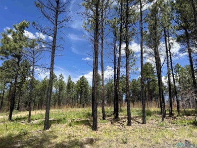 Nestled in the heart of the Sangre de Cristo Mountains, with 1 on Pendaries Village Community Assoc. in New Mexico - for sale on GolfHomes.com, golf home, golf lot