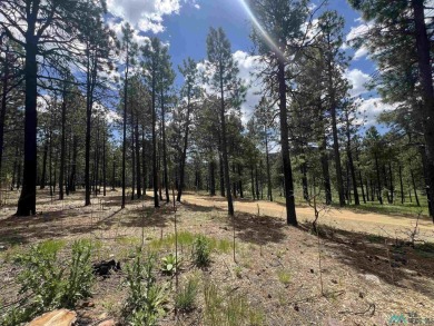 Nestled in the heart of the Sangre de Cristo Mountains, with 1 on Pendaries Village Community Assoc. in New Mexico - for sale on GolfHomes.com, golf home, golf lot