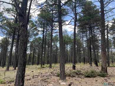 Nestled in the heart of the Sangre de Cristo Mountains, with 1 on Pendaries Village Community Assoc. in New Mexico - for sale on GolfHomes.com, golf home, golf lot