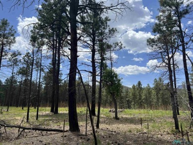 Nestled in the heart of the Sangre de Cristo Mountains, with 1 on Pendaries Village Community Assoc. in New Mexico - for sale on GolfHomes.com, golf home, golf lot