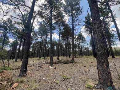 Nestled in the heart of the Sangre de Cristo Mountains, with 1 on Pendaries Village Community Assoc. in New Mexico - for sale on GolfHomes.com, golf home, golf lot