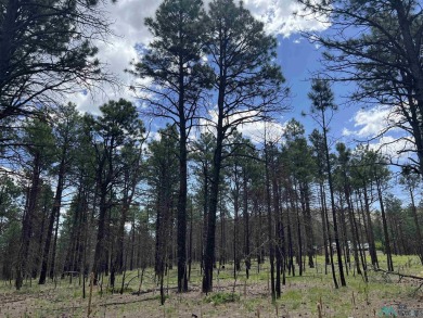 Nestled in the heart of the Sangre de Cristo Mountains, with 1 on Pendaries Village Community Assoc. in New Mexico - for sale on GolfHomes.com, golf home, golf lot