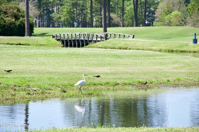 Check all your boxes with this amazing home available in Sea on Sea Trail Golf Resort in North Carolina - for sale on GolfHomes.com, golf home, golf lot