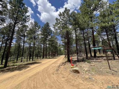 Nestled in the heart of the Sangre de Cristo Mountains, with 1 on Pendaries Village Community Assoc. in New Mexico - for sale on GolfHomes.com, golf home, golf lot