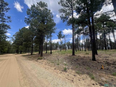 Nestled in the heart of the Sangre de Cristo Mountains, with 1 on Pendaries Village Community Assoc. in New Mexico - for sale on GolfHomes.com, golf home, golf lot