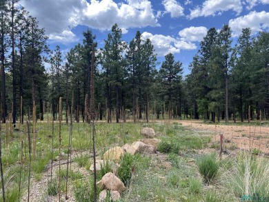 Nestled in the heart of the Sangre de Cristo Mountains, with 1 on Pendaries Village Community Assoc. in New Mexico - for sale on GolfHomes.com, golf home, golf lot