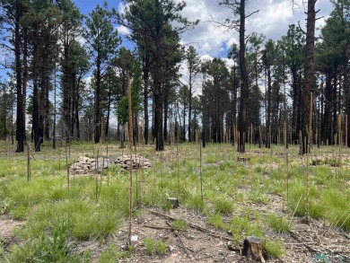 Nestled in the heart of the Sangre de Cristo Mountains, with 1 on Pendaries Village Community Assoc. in New Mexico - for sale on GolfHomes.com, golf home, golf lot