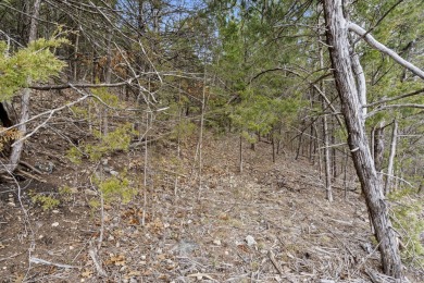 It's a new year, lake close @ Wilderness Trl. Ready for a new on Kimberling City Golf Club in Missouri - for sale on GolfHomes.com, golf home, golf lot