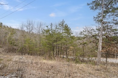 It's a new year, lake close @ Wilderness Trl. Ready for a new on Kimberling City Golf Club in Missouri - for sale on GolfHomes.com, golf home, golf lot