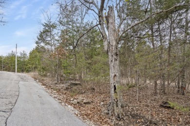 It's a new year, lake close @ Wilderness Trl. Ready for a new on Kimberling City Golf Club in Missouri - for sale on GolfHomes.com, golf home, golf lot