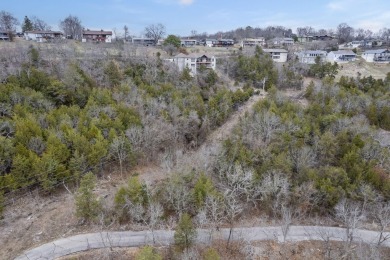 It's a new year, lake close @ Wilderness Trl. Ready for a new on Kimberling City Golf Club in Missouri - for sale on GolfHomes.com, golf home, golf lot