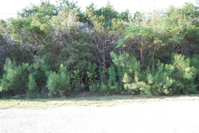 Need a place at the lake to get away from the hustle-bustle of on White Bluff Resort - Old Course in Texas - for sale on GolfHomes.com, golf home, golf lot