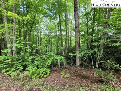 Three contiguous lots totalling 1.30 acres near the Buckeye on Beech Mountain Club in North Carolina - for sale on GolfHomes.com, golf home, golf lot