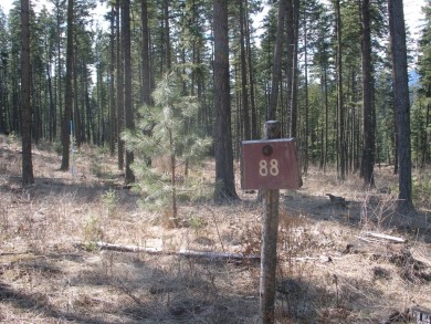 End of a cul-de-sac privacy from one of the largest lots at on Gozzer Ranch Golf and Lake Club in Idaho - for sale on GolfHomes.com, golf home, golf lot
