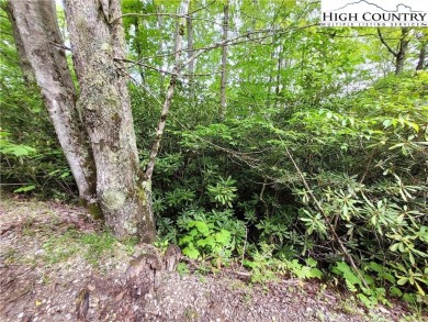 Three contiguous lots totalling 1.30 acres near the Buckeye on Beech Mountain Club in North Carolina - for sale on GolfHomes.com, golf home, golf lot