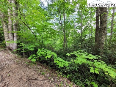 Three contiguous lots totalling 1.30 acres near the Buckeye on Beech Mountain Club in North Carolina - for sale on GolfHomes.com, golf home, golf lot