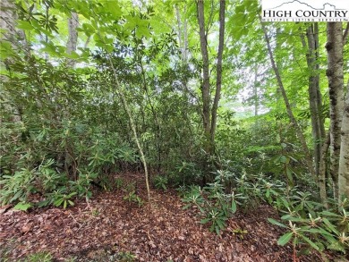 Three contiguous lots totalling 1.30 acres near the Buckeye on Beech Mountain Club in North Carolina - for sale on GolfHomes.com, golf home, golf lot