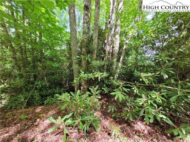 Three contiguous lots totalling 1.30 acres near the Buckeye on Beech Mountain Club in North Carolina - for sale on GolfHomes.com, golf home, golf lot