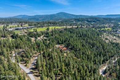 End of a cul-de-sac privacy from one of the largest lots at on Gozzer Ranch Golf and Lake Club in Idaho - for sale on GolfHomes.com, golf home, golf lot